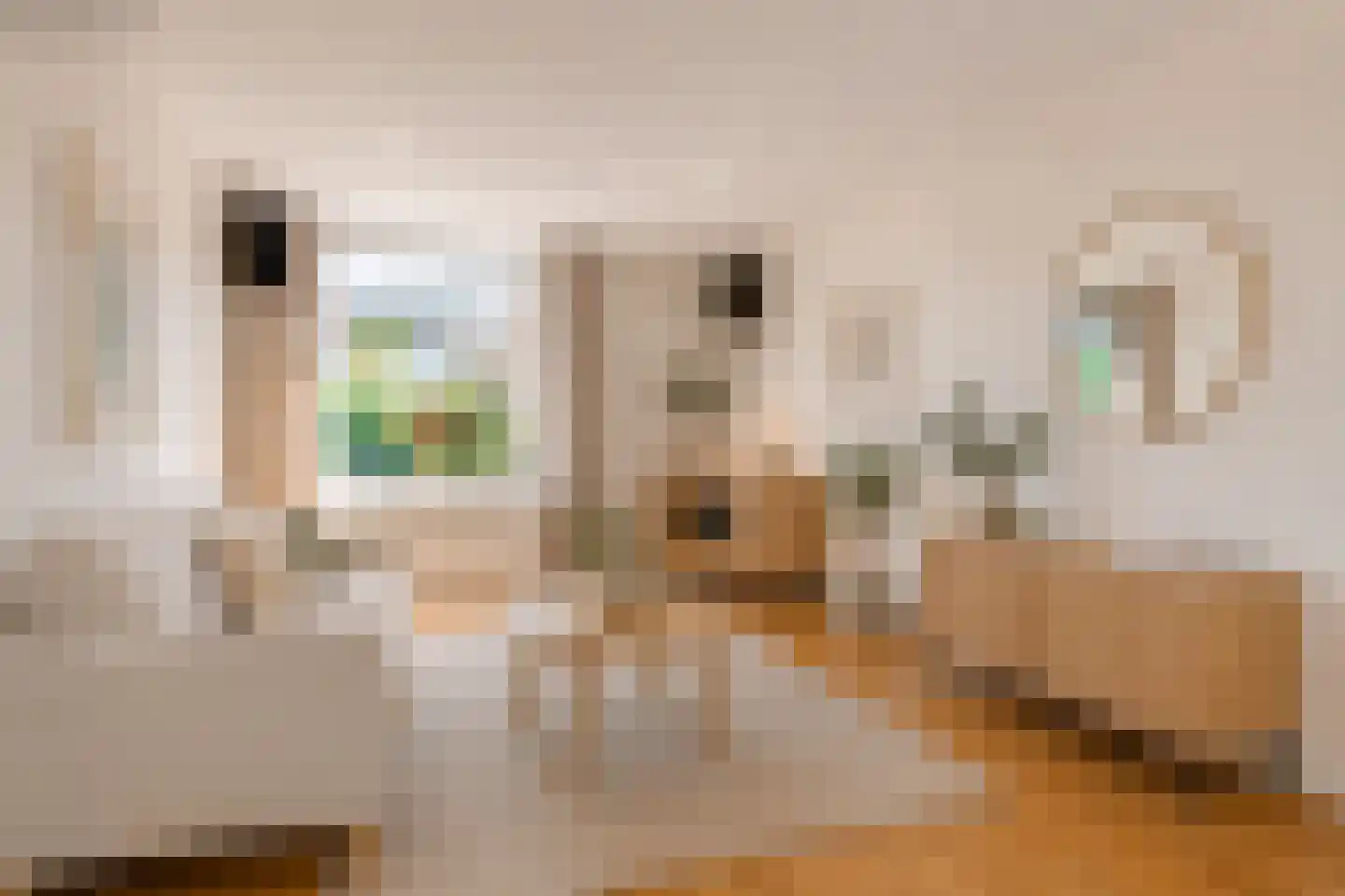 Meeuwenlaan 12 Egmond-Binnen thumbnail 10