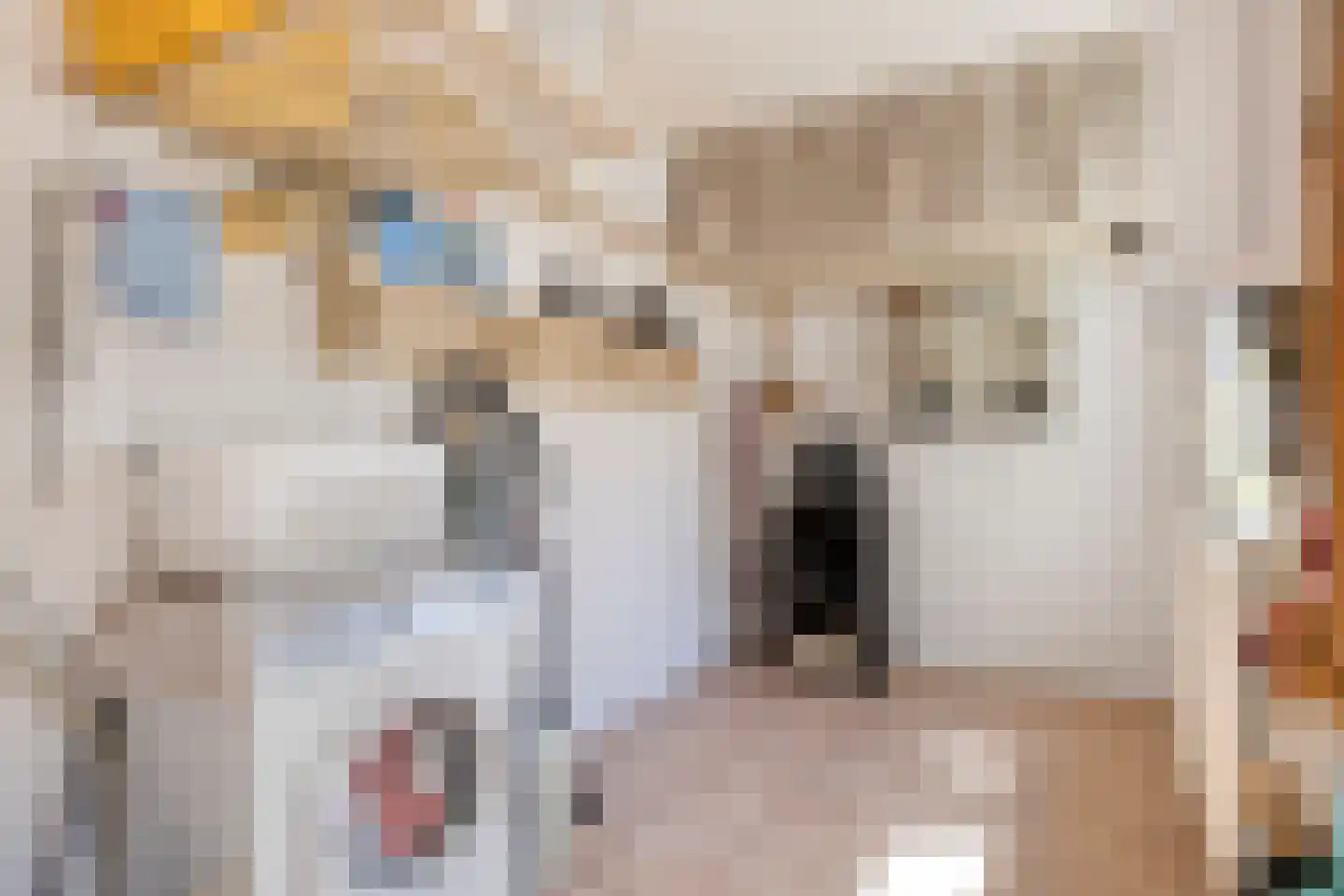 Meeuwenlaan 12 Egmond-Binnen thumbnail 13
