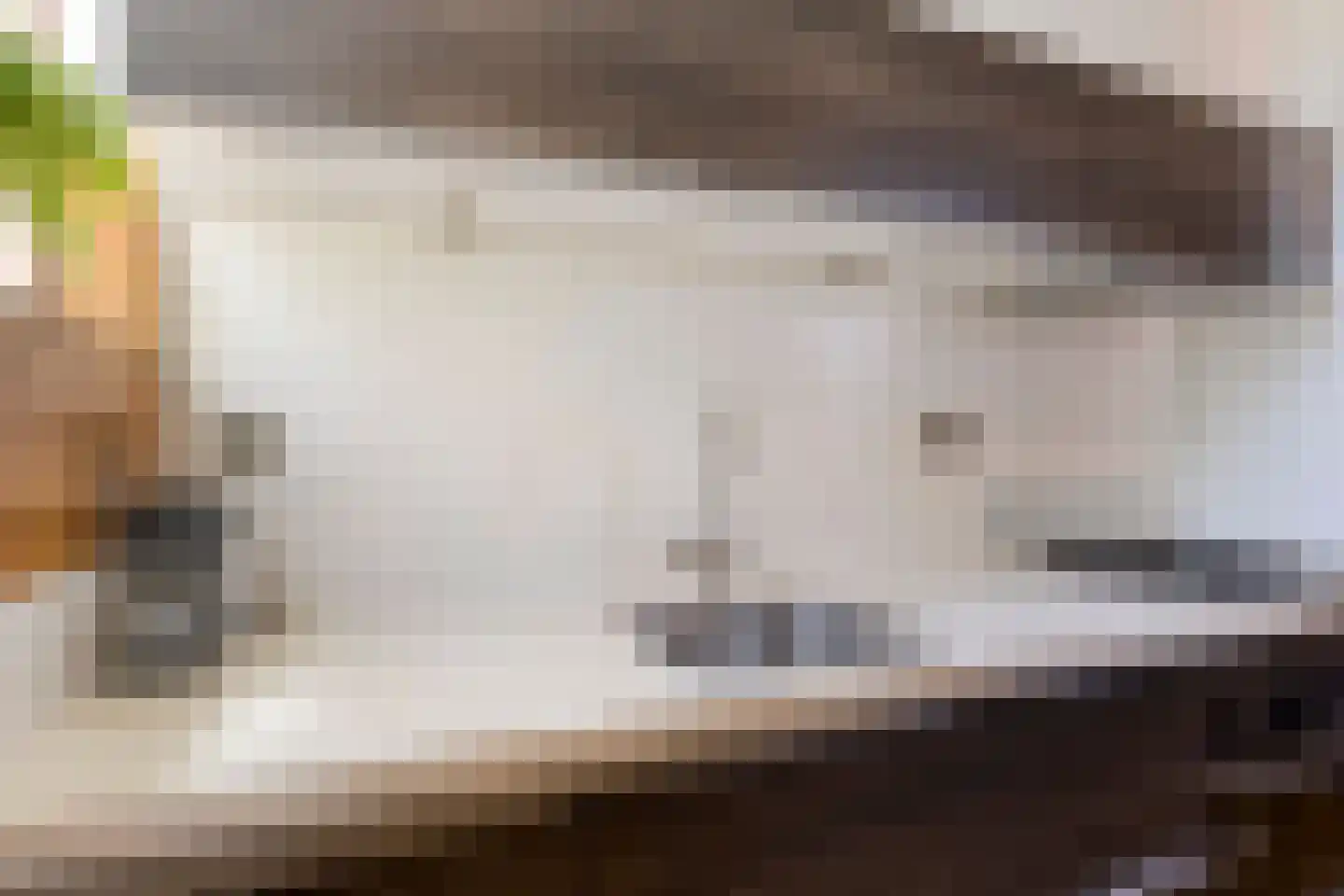 Meeuwenlaan 12 Egmond-Binnen thumbnail 13