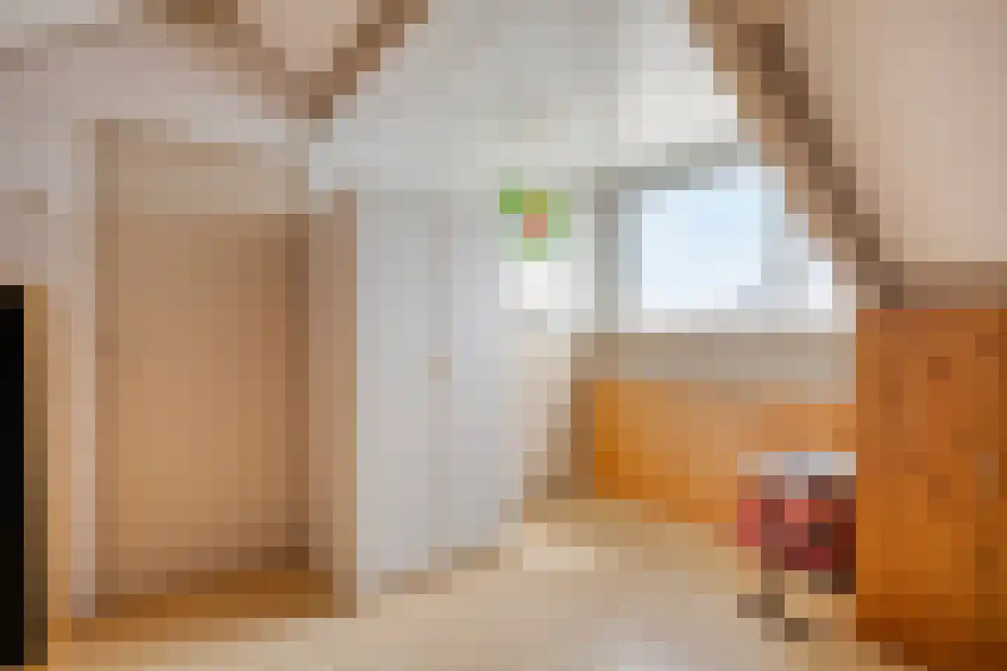 Meeuwenlaan 12 Egmond-Binnen thumbnail 23