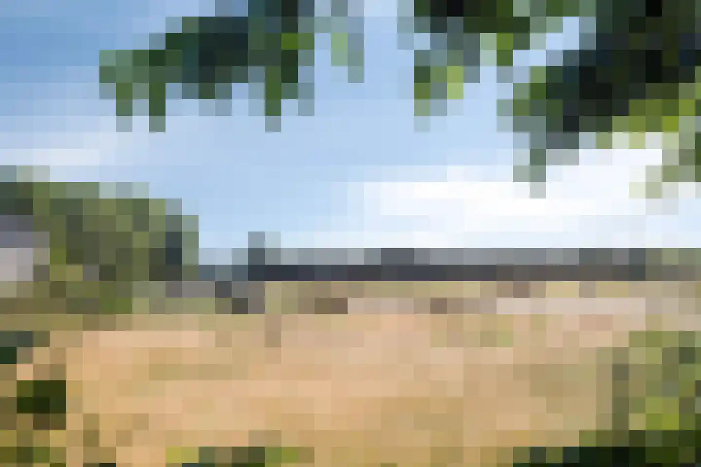 Meeuwenlaan 12 Egmond-Binnen thumbnail 28