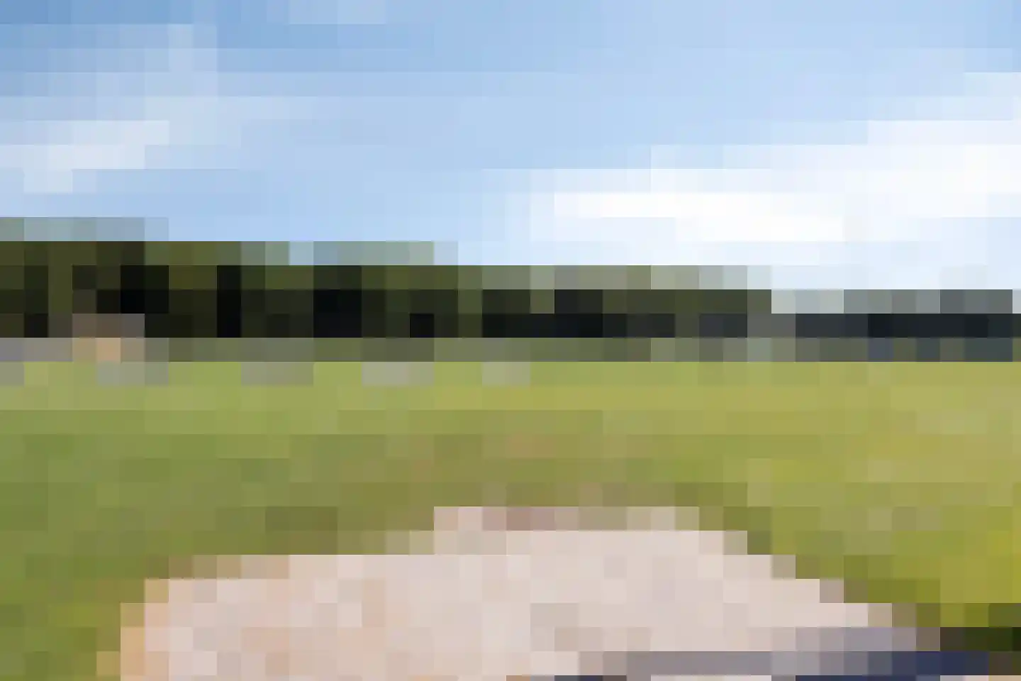 Meeuwenlaan 12 Egmond-Binnen thumbnail 29