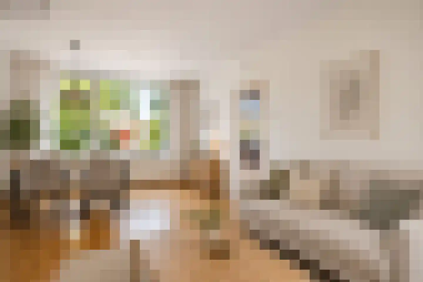 Meeuwenlaan 12 Egmond-Binnen thumbnail 4