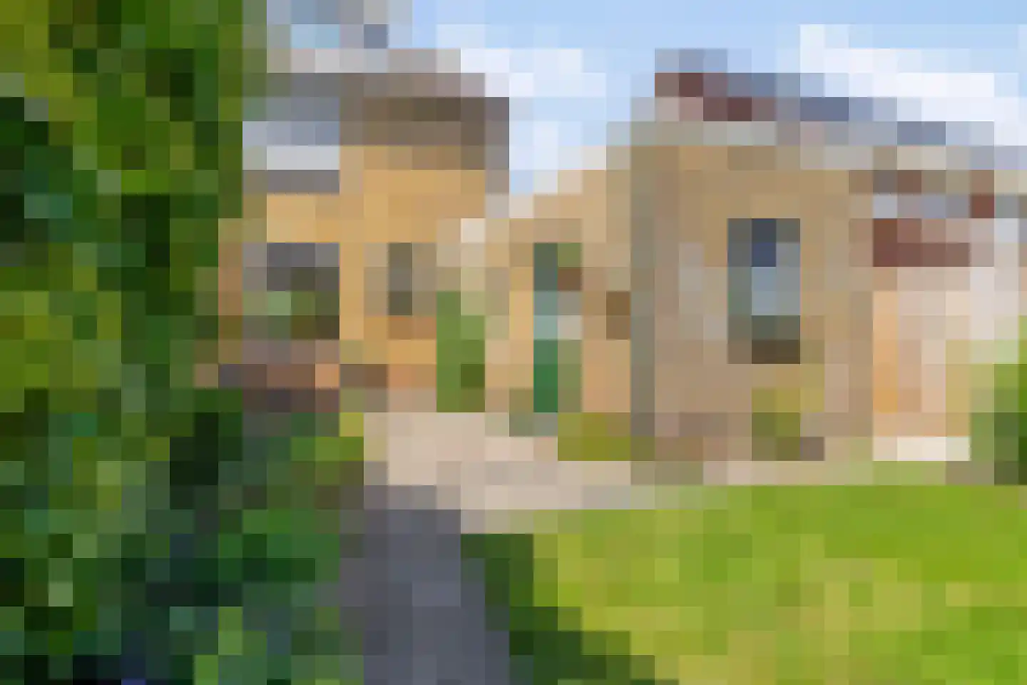 Meeuwenlaan 12 Egmond-Binnen thumbnail 4