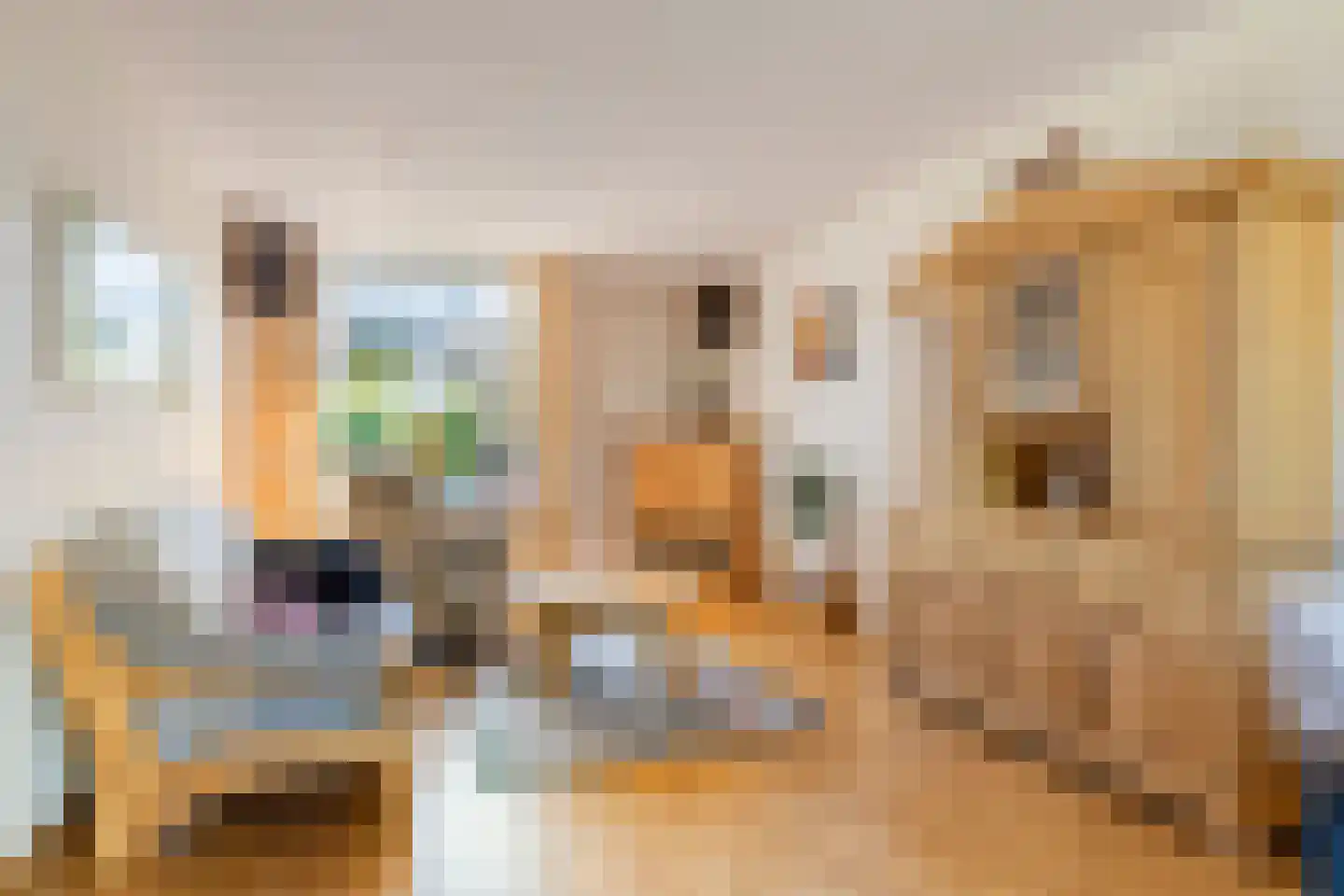 Meeuwenlaan 12 Egmond-Binnen thumbnail 8