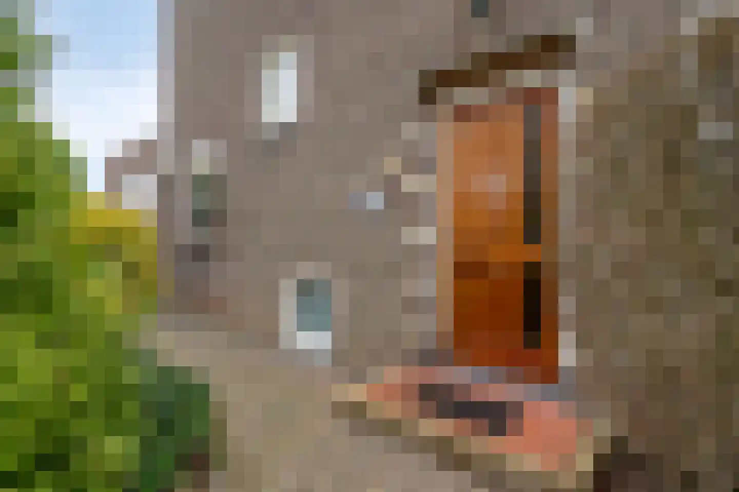 Meeuwenlaan 12 Geleen thumbnail 11