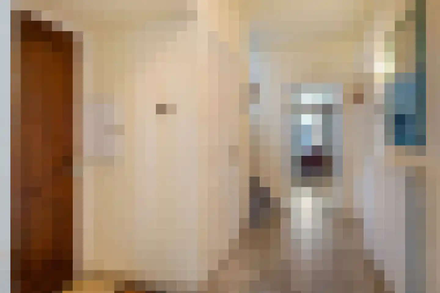 Meeuwenlaan 12 Geleen thumbnail 15