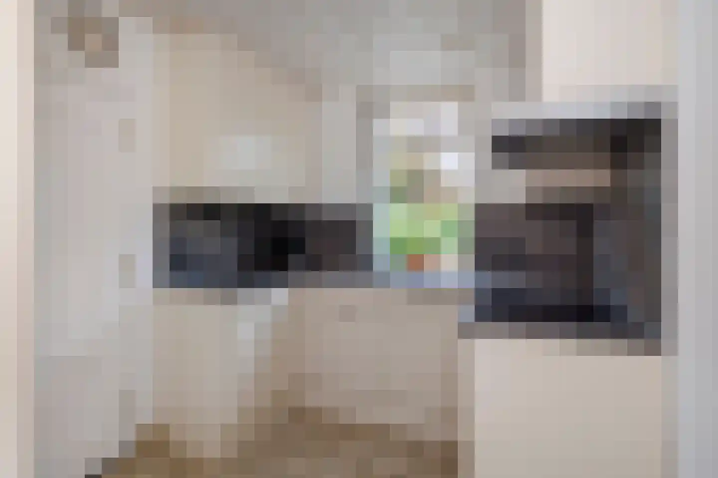 Meeuwenlaan 12 Geleen thumbnail 4
