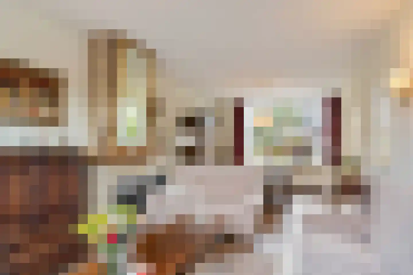 Meeuwenlaan 12 Leiderdorp thumbnail 11