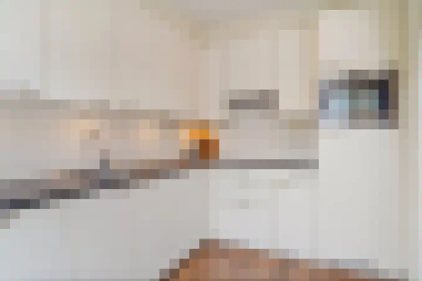 Meeuwenlaan 12 Leiderdorp thumbnail 13