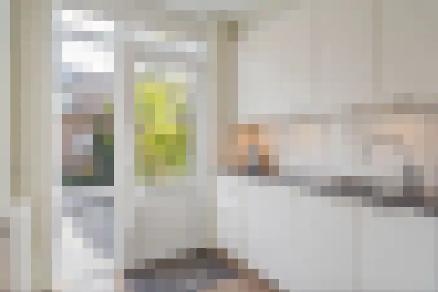Meeuwenlaan 12 Leiderdorp thumbnail 14