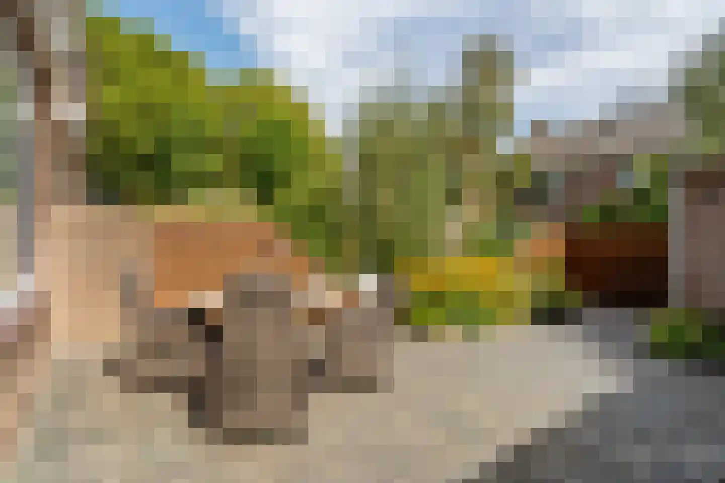 Meeuwenlaan 12 Leiderdorp thumbnail 17