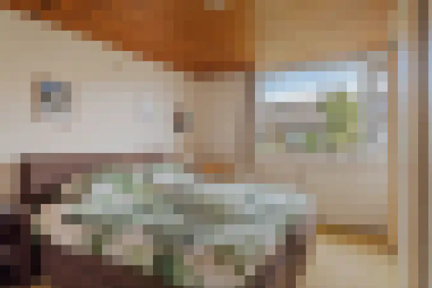 Meeuwenlaan 12 Leiderdorp thumbnail 20