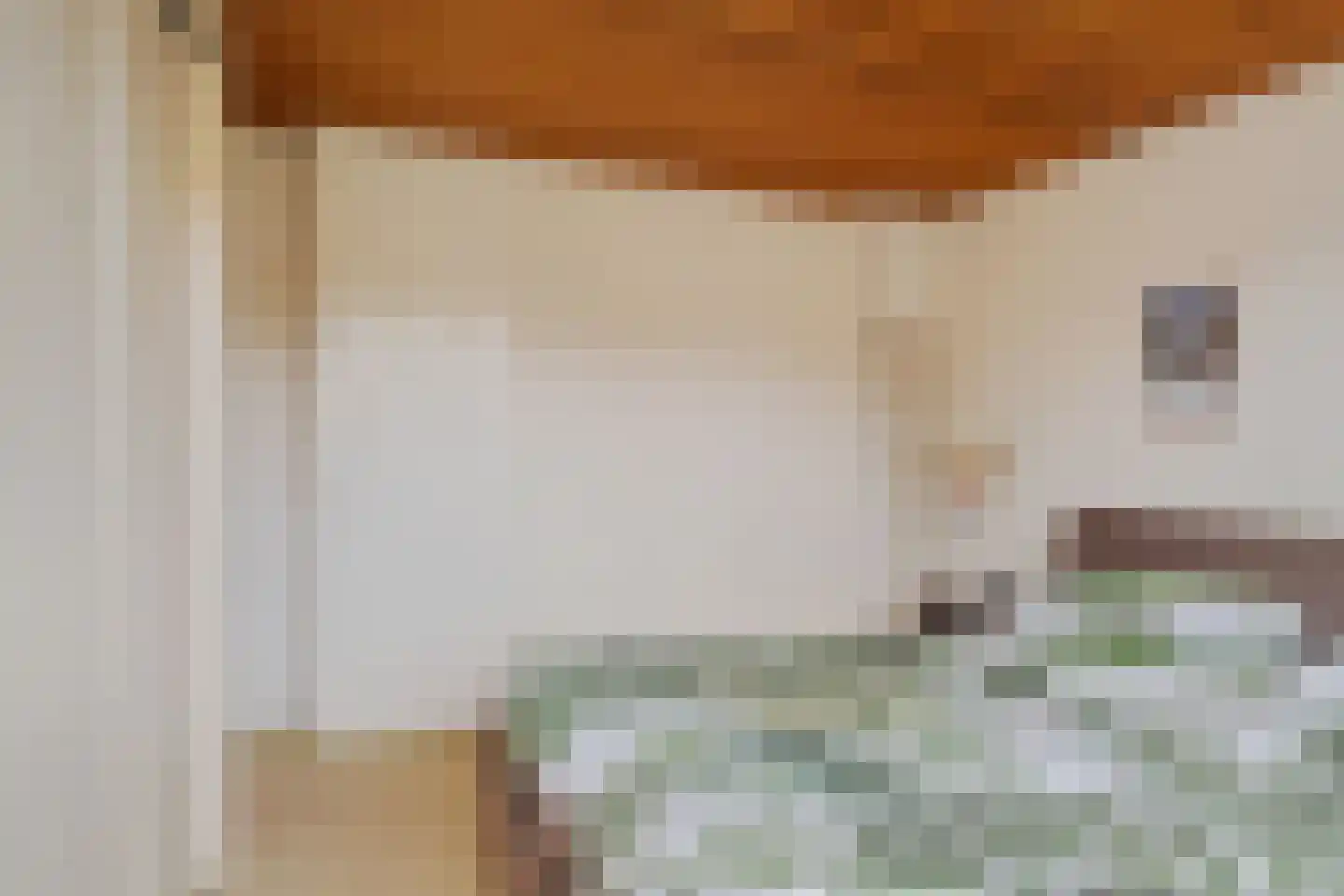 Meeuwenlaan 12 Leiderdorp thumbnail 21