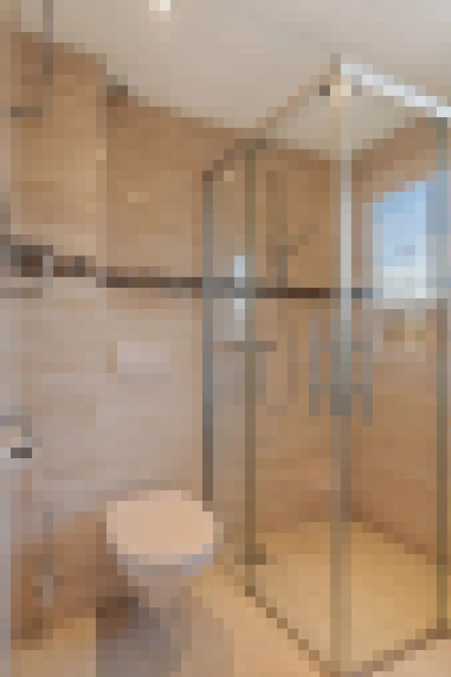 Meeuwenlaan 12 Leiderdorp thumbnail 25
