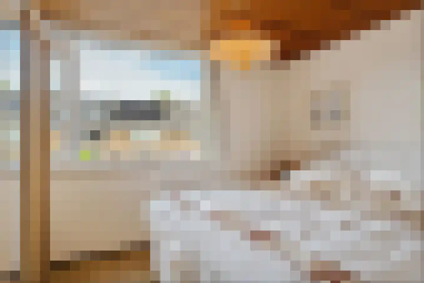 Meeuwenlaan 12 Leiderdorp thumbnail 29