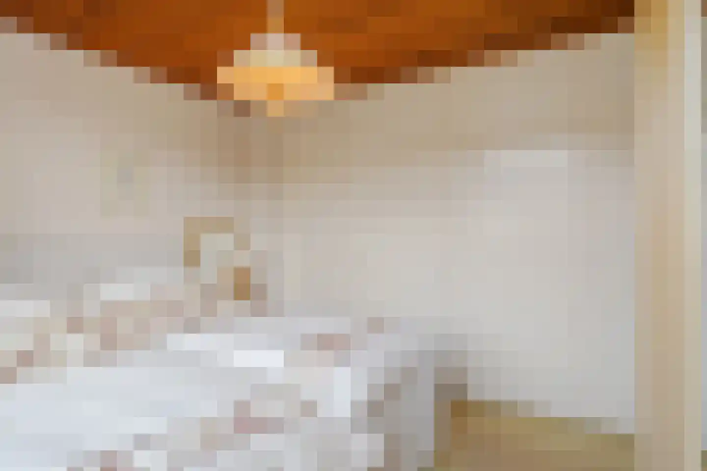 Meeuwenlaan 12 Leiderdorp thumbnail 30