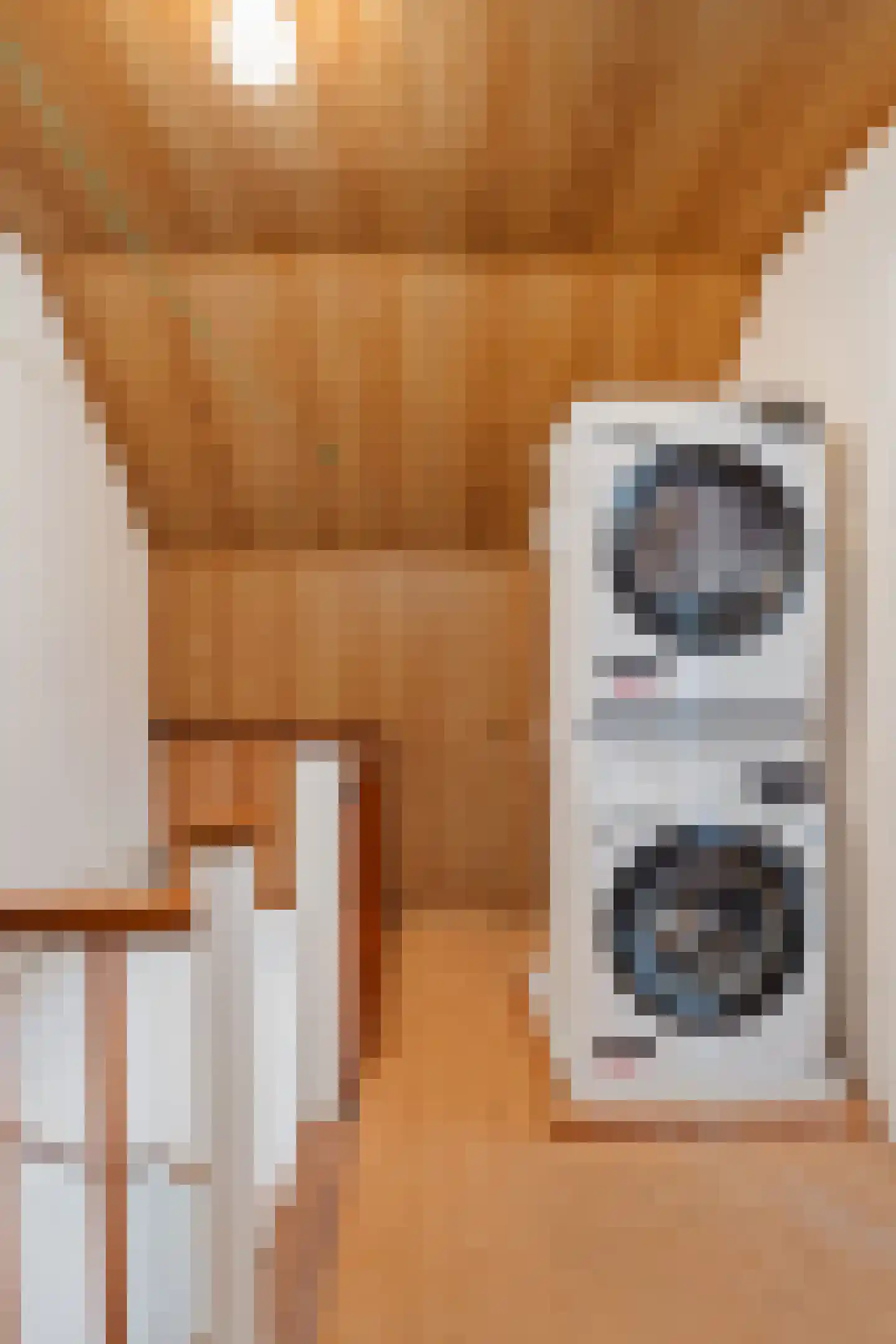 Meeuwenlaan 12 Leiderdorp thumbnail 31
