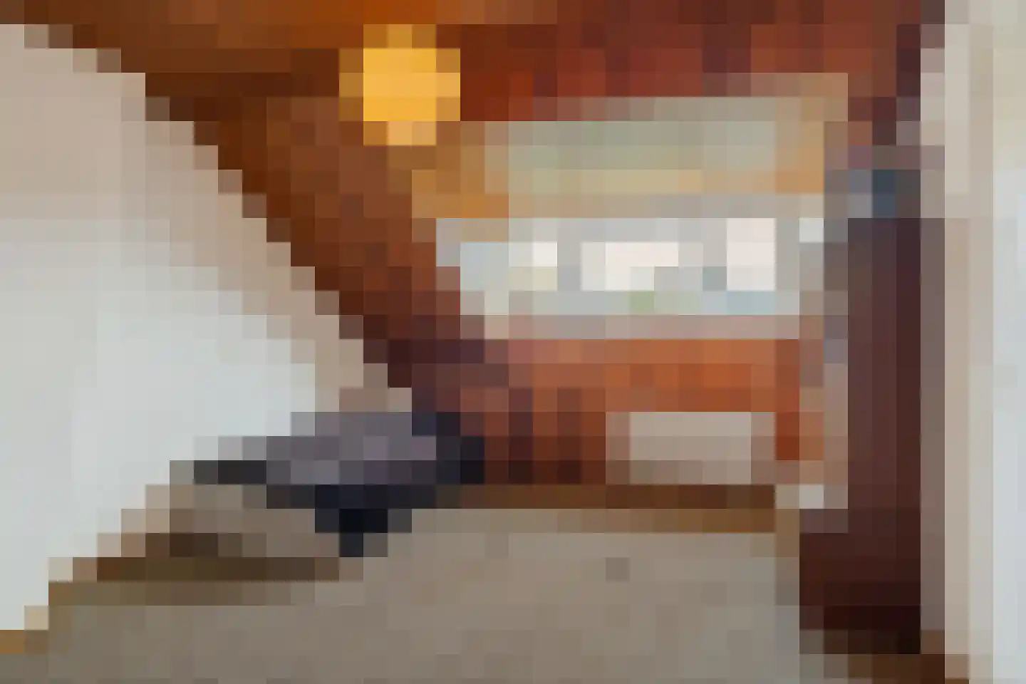 Meeuwenlaan 12 Leiderdorp thumbnail 32