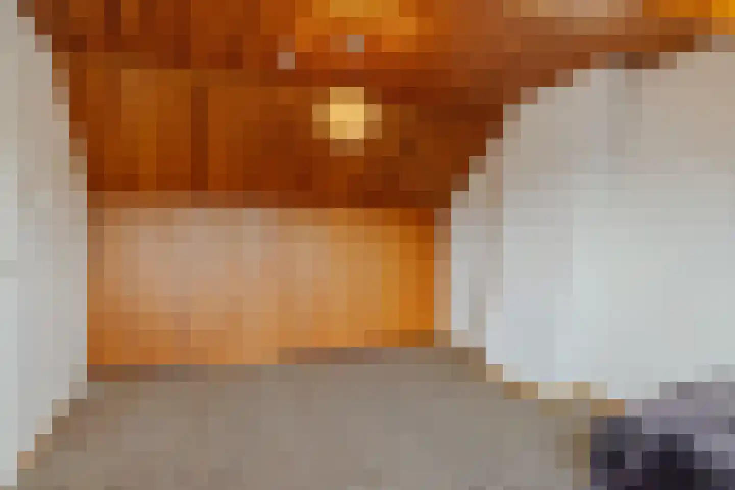 Meeuwenlaan 12 Leiderdorp thumbnail 33