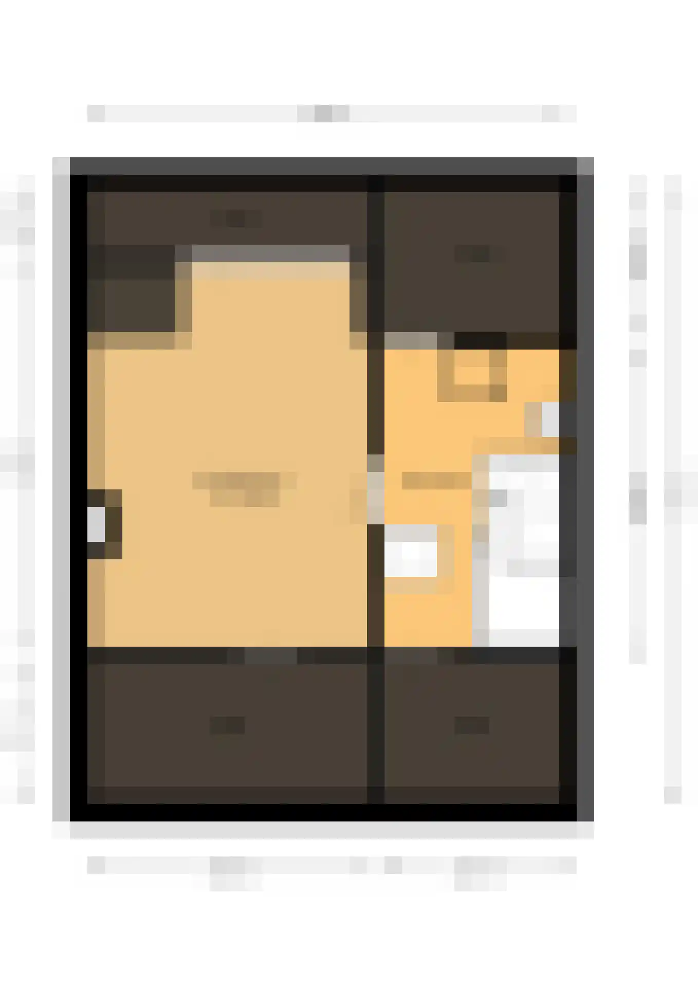Meeuwenlaan 12 Leiderdorp thumbnail 37
