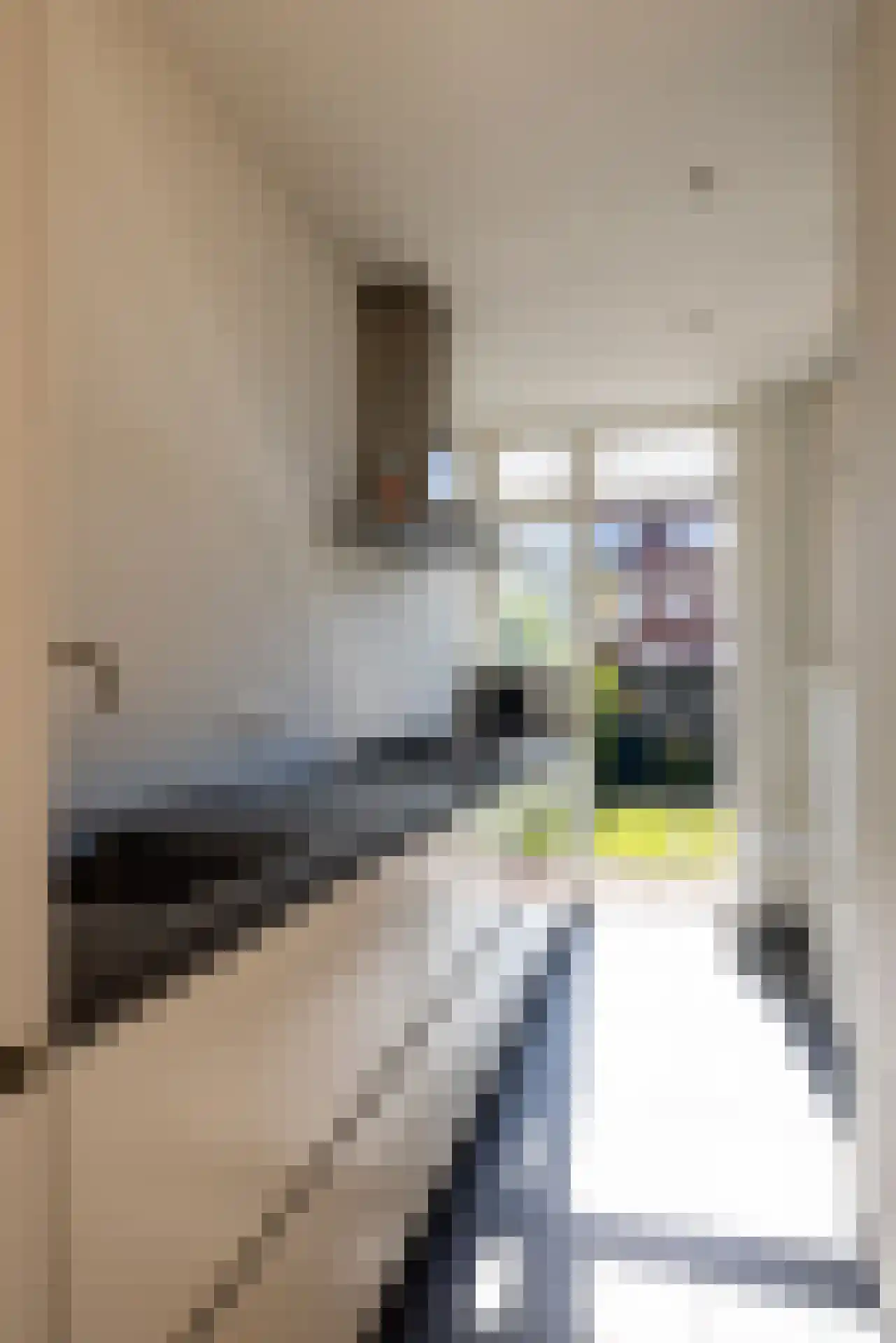 Meeuwenlaan 12 Rotterdam thumbnail 11