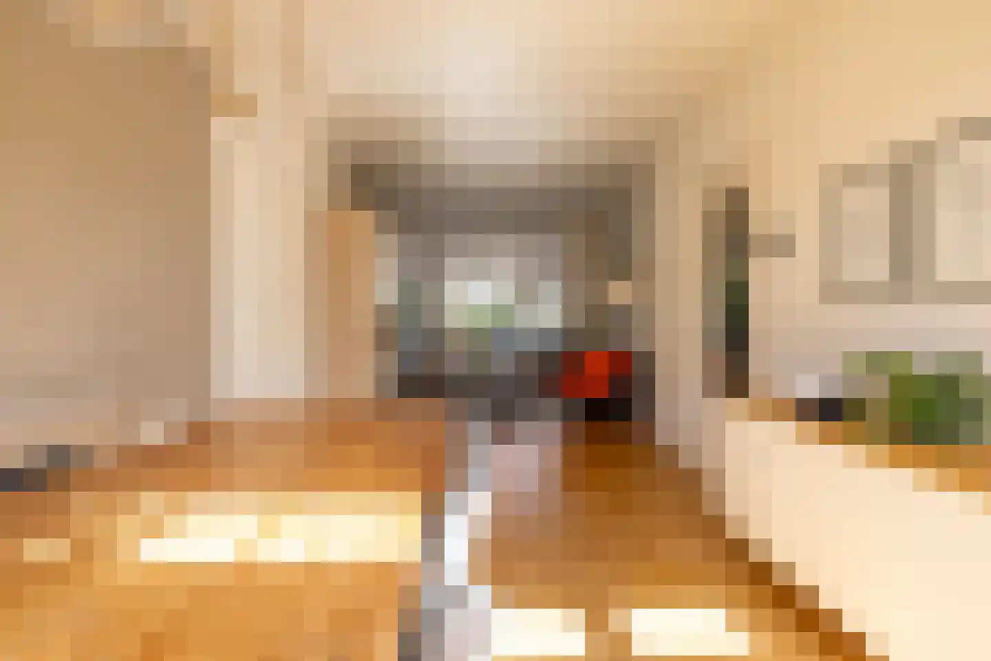 Meeuwenlaan 12 Rotterdam thumbnail 14