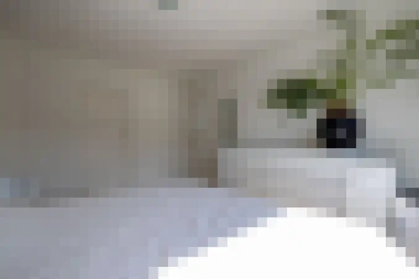 Meeuwenlaan 12 Rotterdam thumbnail 19