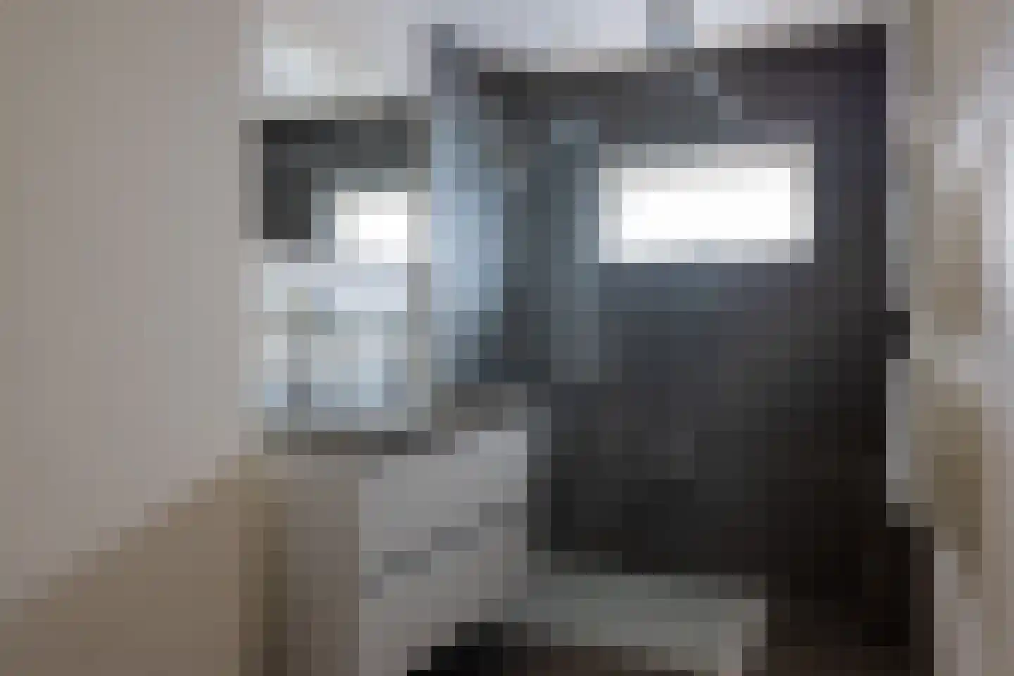 Meeuwenlaan 12 Rotterdam thumbnail 25