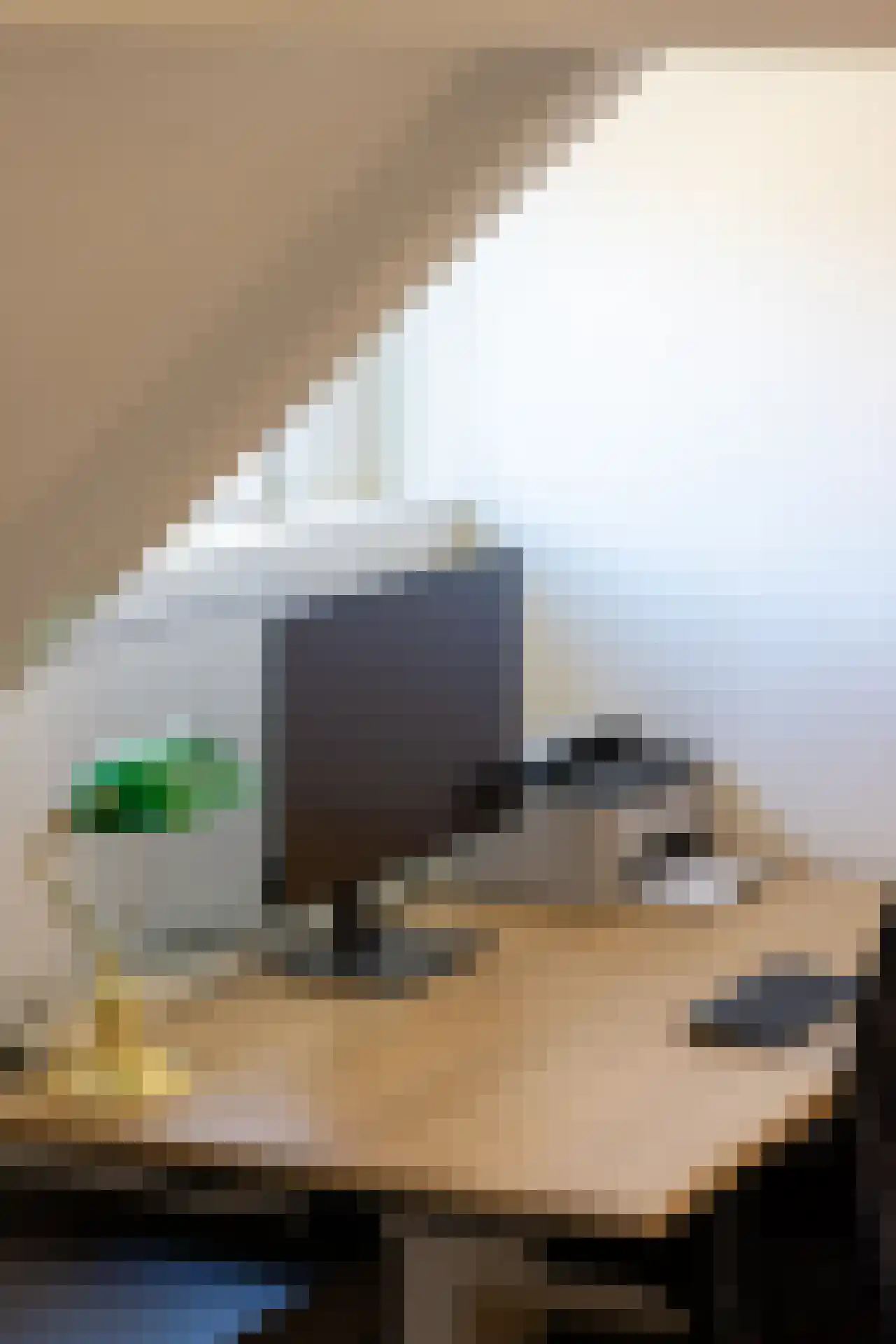 Meeuwenlaan 12 Rotterdam thumbnail 27