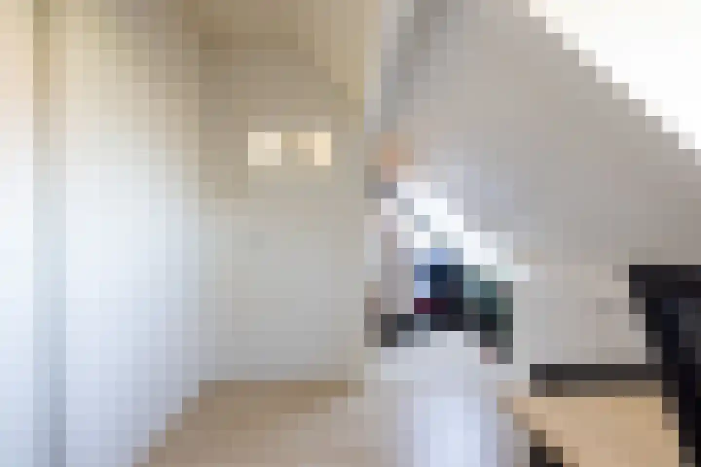 Meeuwenlaan 12 Rotterdam thumbnail 29