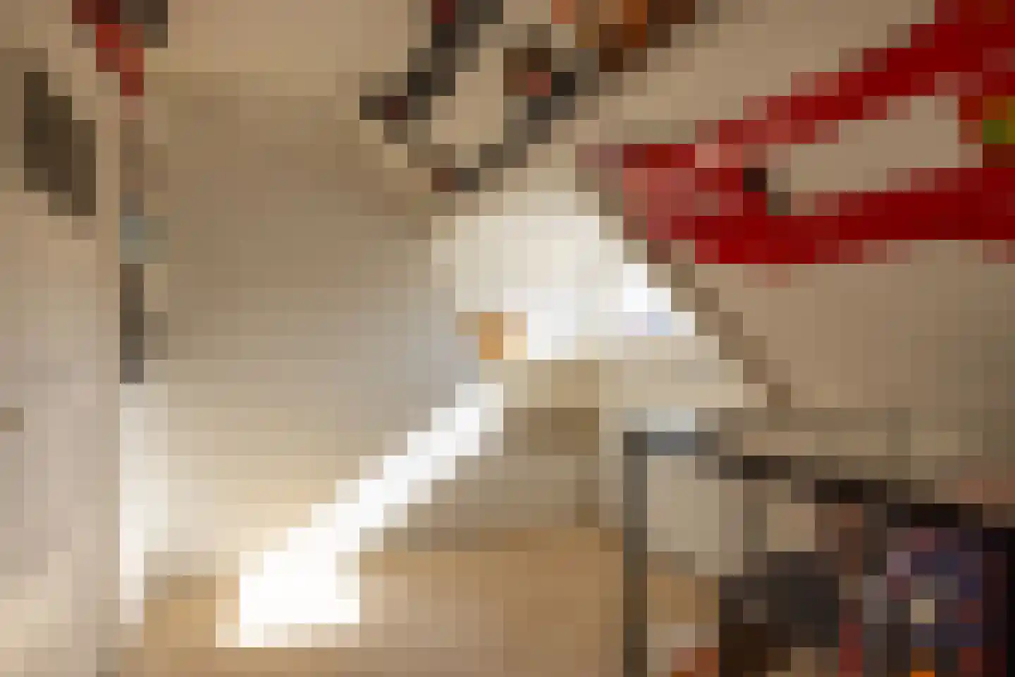 Meeuwenlaan 12 Rotterdam thumbnail 30