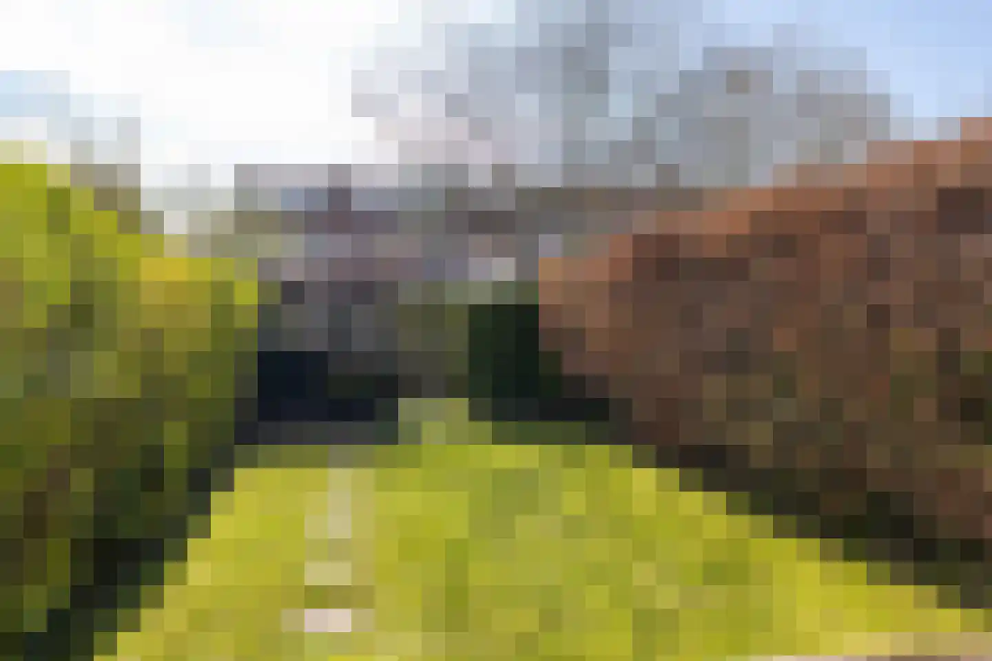 Meeuwenlaan 12 Rotterdam thumbnail 33