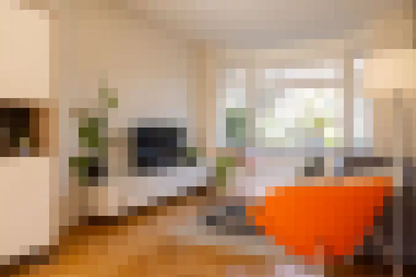 Meeuwenlaan 12 Rotterdam thumbnail 4