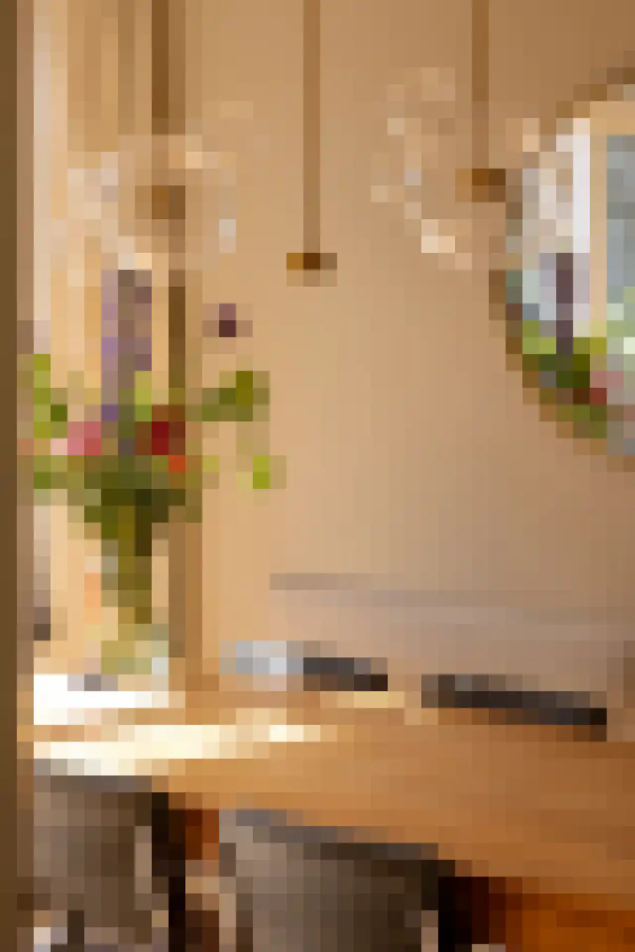 Meeuwenlaan 12 Rotterdam thumbnail 6