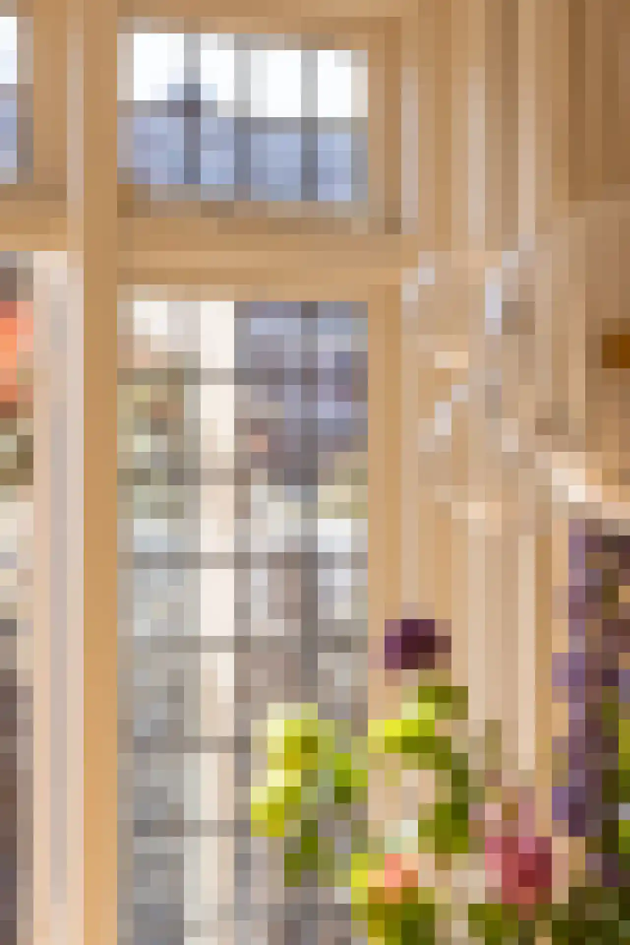 Meeuwenlaan 12 Rotterdam thumbnail 7