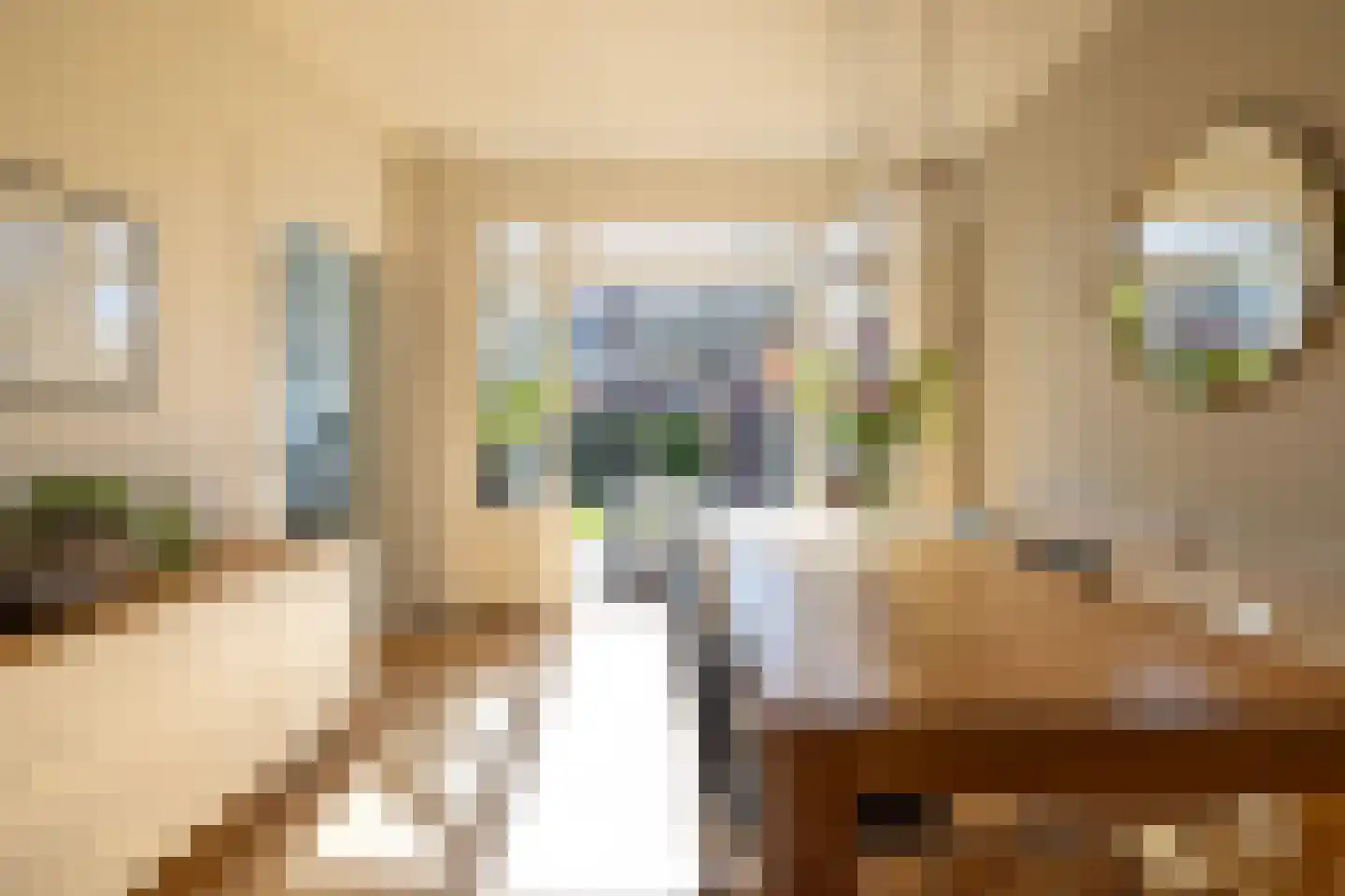 Meeuwenlaan 12 Rotterdam thumbnail 8