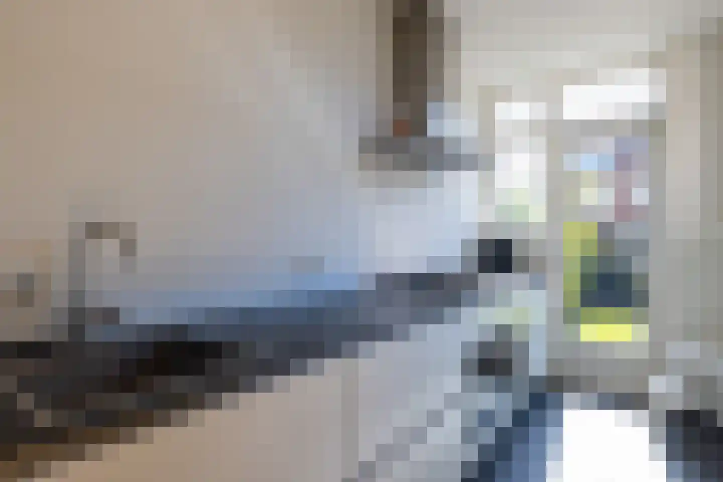 Meeuwenlaan 12 Rotterdam thumbnail 9