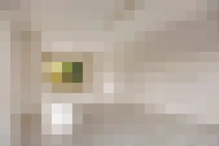 Meeuwenlaan 13 Nieuwerkerk thumbnail 10
