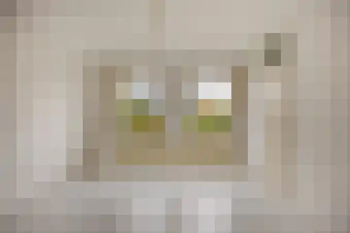 Meeuwenlaan 13 Nieuwerkerk thumbnail 11