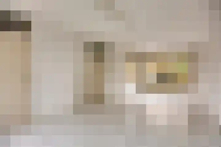 Meeuwenlaan 13 Nieuwerkerk thumbnail 12