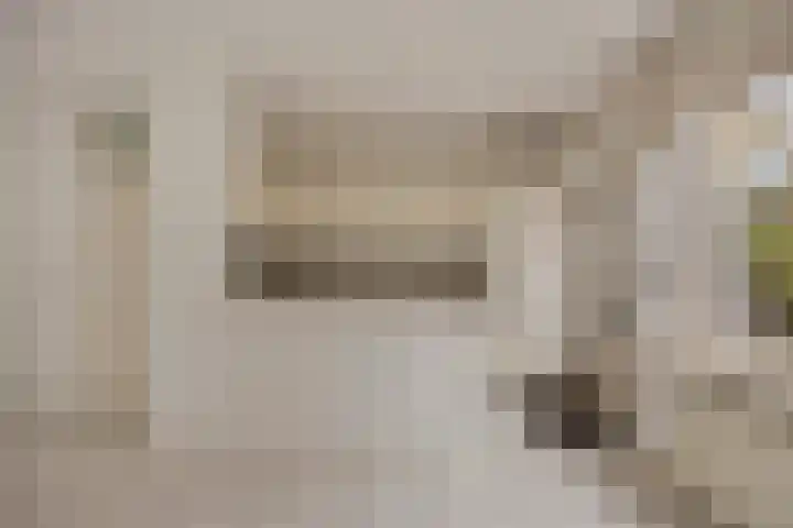 Meeuwenlaan 13 Nieuwerkerk thumbnail 14