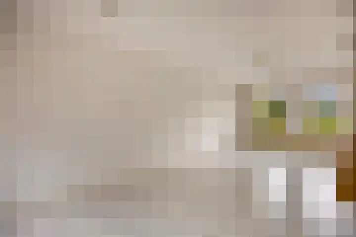 Meeuwenlaan 13 Nieuwerkerk thumbnail 17
