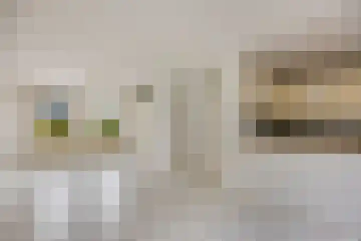 Meeuwenlaan 13 Nieuwerkerk thumbnail 18
