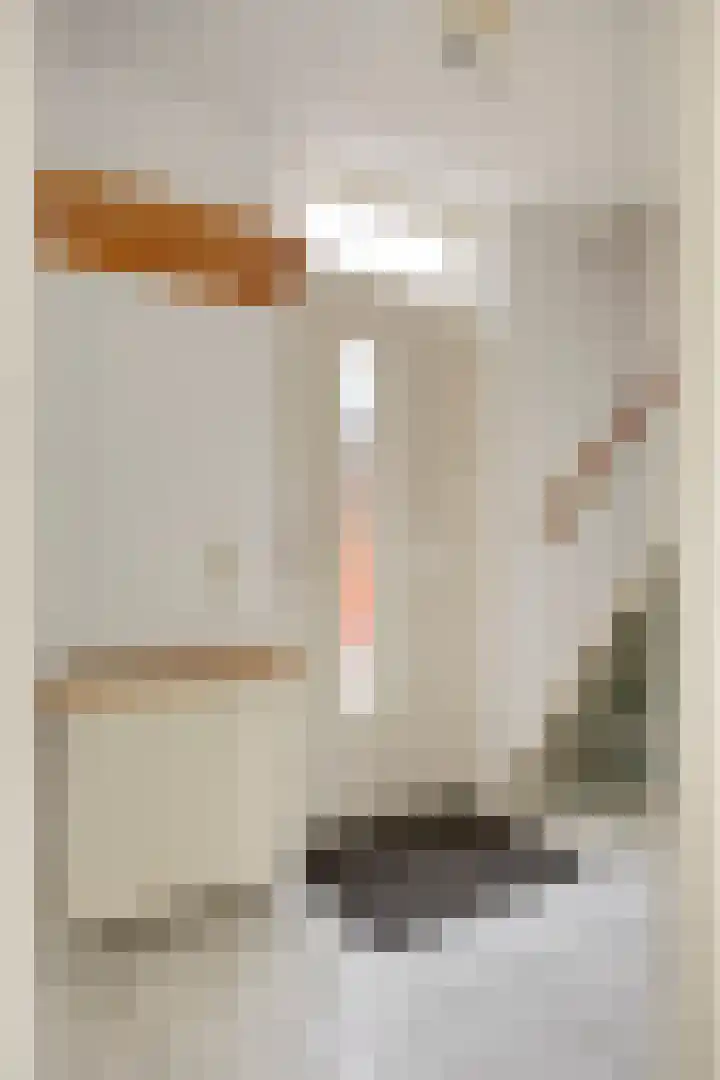 Meeuwenlaan 13 Nieuwerkerk thumbnail 19