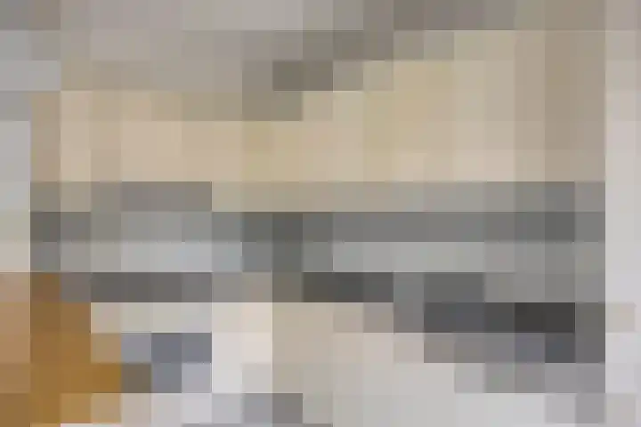 Meeuwenlaan 13 Nieuwerkerk foto 2