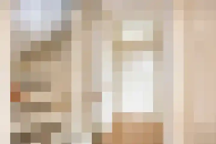 Meeuwenlaan 13 Nieuwerkerk thumbnail 20