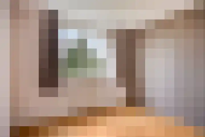 Meeuwenlaan 13 Nieuwerkerk thumbnail 21