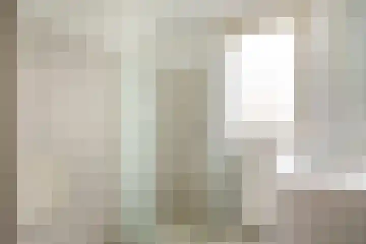 Meeuwenlaan 13 Nieuwerkerk thumbnail 26