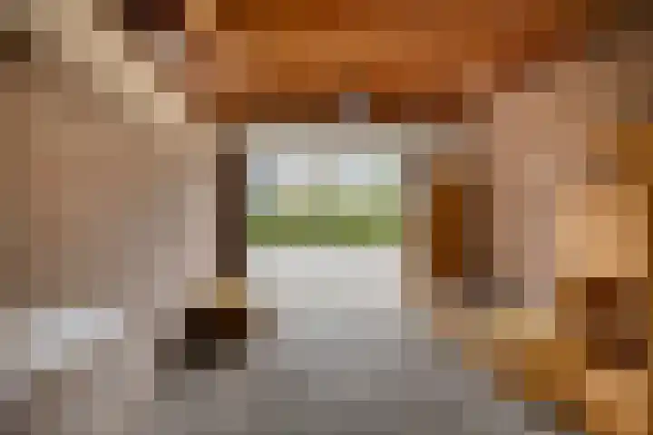 Meeuwenlaan 13 Nieuwerkerk thumbnail 31